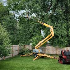 Best Hedge Trimming  in Palisades Park, NJ